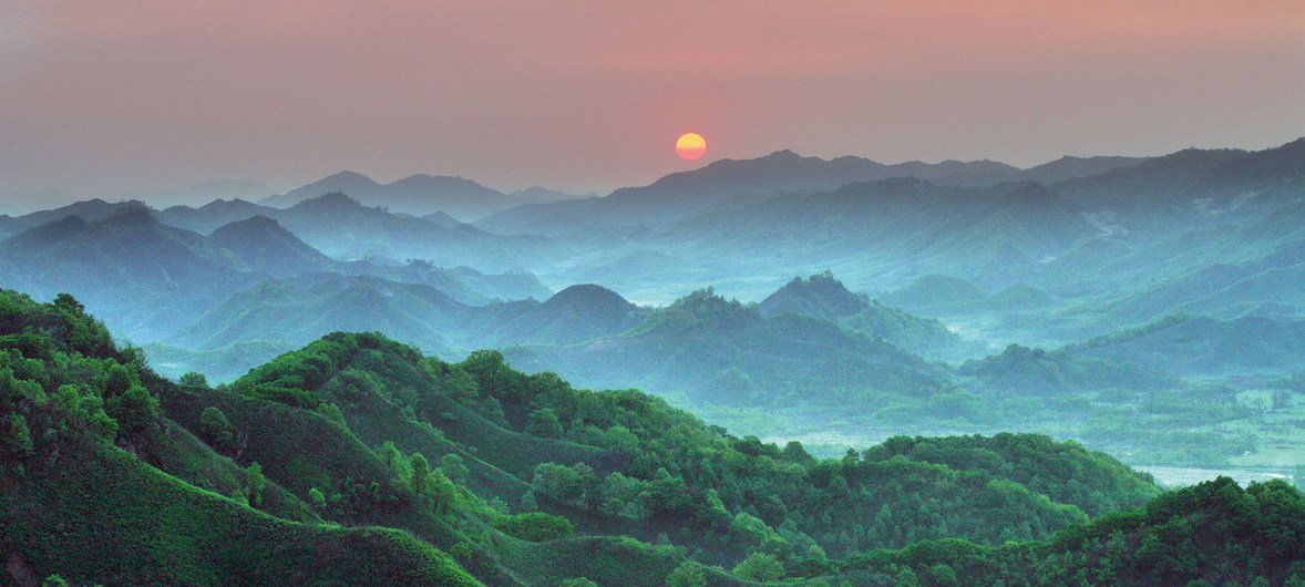 La réserve de biosphère de Gangwon Eco-Peace en République de Corée.
