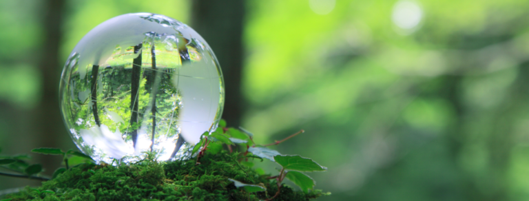 La relation entre la compétitivité à long terme et le développement durable est confirmée pour 85% des entreprises, selon la nouvelle étude Sustainability de SAP