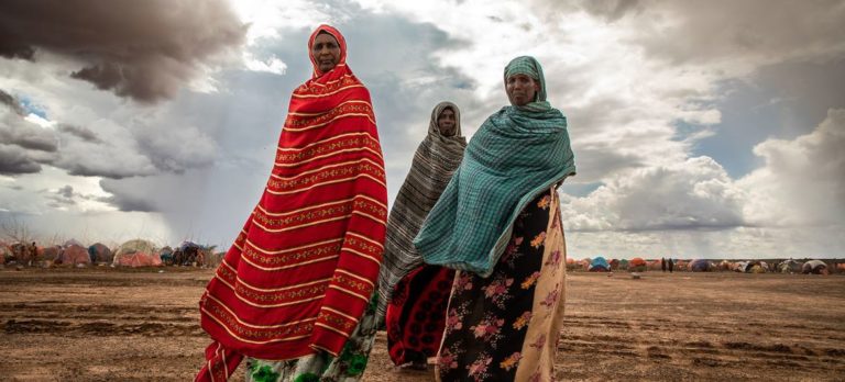 Climat : les huit dernières années sont les plus chaudes jamais enregistrées selon l&rsquo;OMM