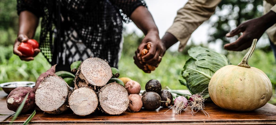 Des légumes sont préparés pour une session de formation agricole pour des agriculteurs de Taita, au Kenya.