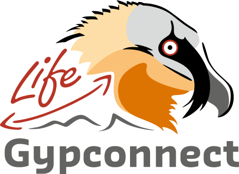 LIFE Gypconnect