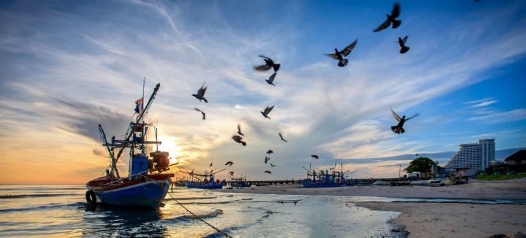 La surpêche diminue en Méditerranée et en mer Noire, selon la FAO, mais les ressources marines sont menacées par les activités humaines