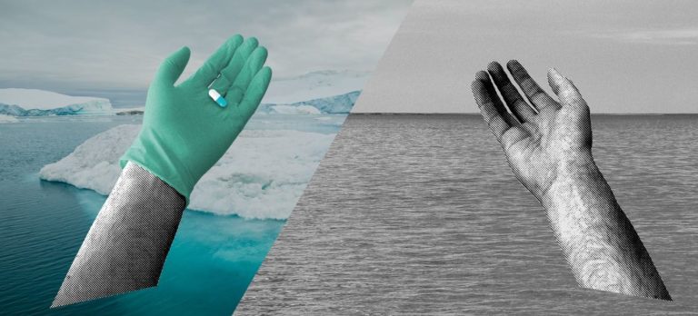 Pourquoi la biodiversité est bonne pour notre santé