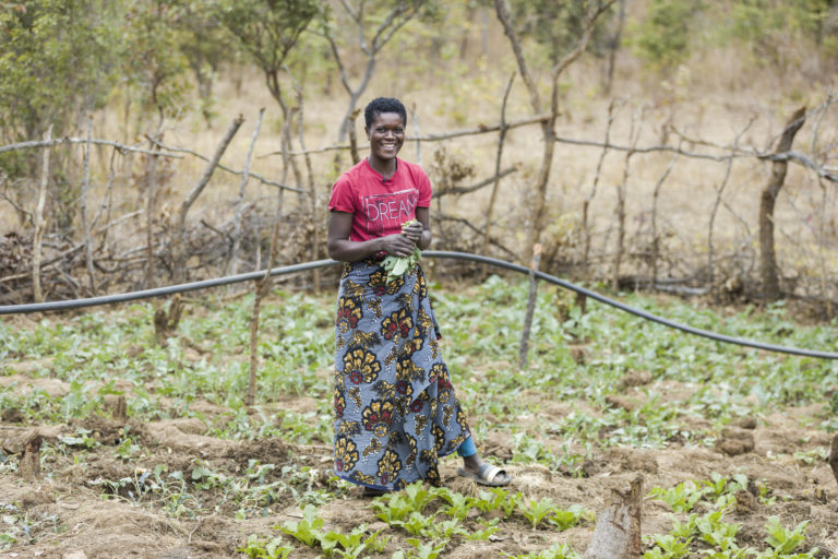 L&rsquo;ONU appelle des investissements en faveur du développement rural à long terme et de la souveraineté alimentaire
