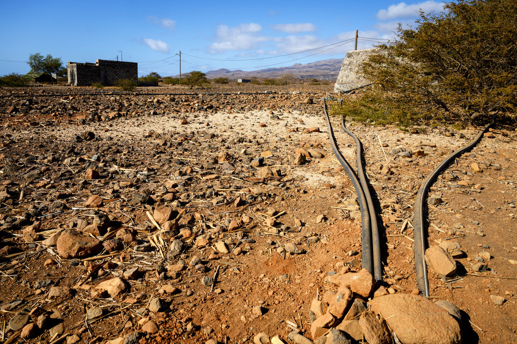 L'ONU aide au projets d'irrigation au goutte à goutte, comme ici dans cette zone désertique proche de Porto Novo