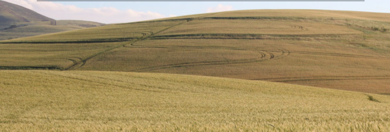 Accaparement des terres : les Amis de la Terre lancent l’alerte « La Terre aux paysans, l’agro-industrie hors champ »