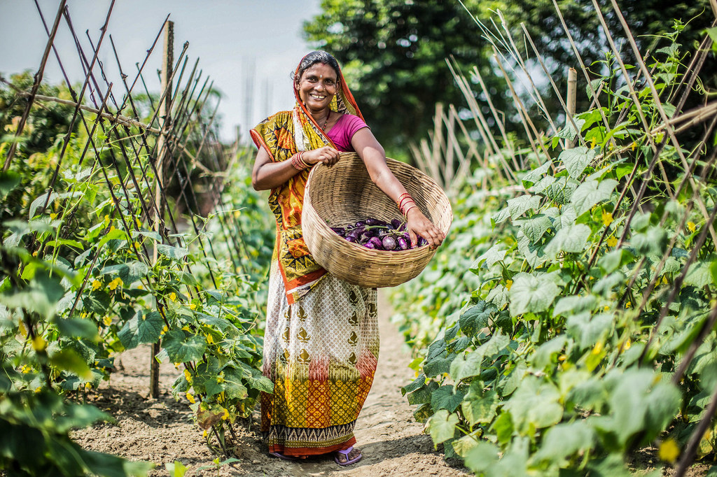 Des projets de développement agricole aident à réduire la pauvreté dans des communautés rurales du Népal