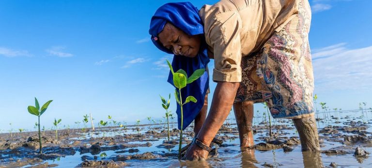 Protéger les zones humides pour protéger la biodiversité
