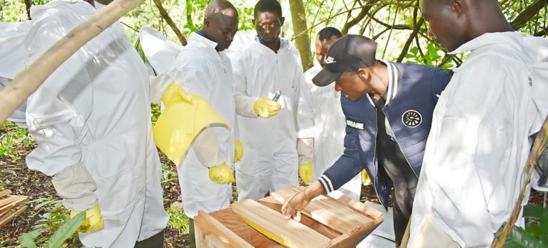 Développer une économie verte au Togo pour alléger la pression sur la forêt et augmenter les revenus