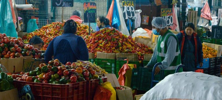 Crise alimentaire mondiale : « Une action urgente s’impose » selon 5 organisations internationales