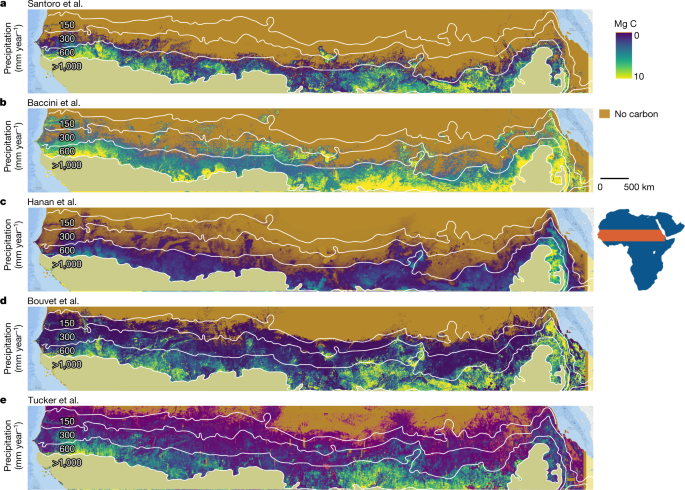 Comparison of different aboveground carbon-density maps.