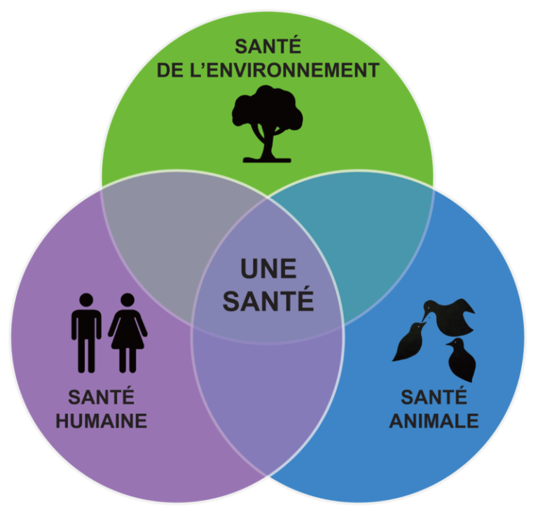 L’initiative « Une seule santé » ou One Health pour relever les défis planétaires