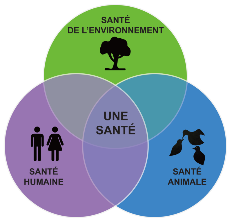800px-one-health-triad-french_300.png