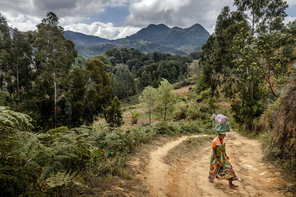 Une femme marche dans la réserve forestière d'Uluguru à Morogoro, en Tanzanie.