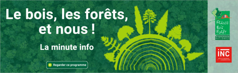 Le bois, les forêts, et nous ! La minute info