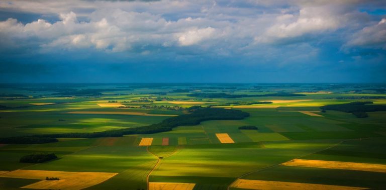 Pourquoi les sols méritent toute notre attention