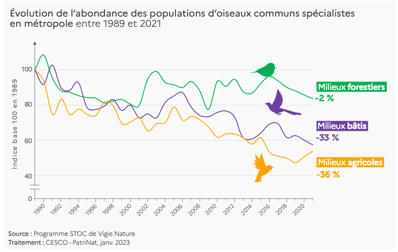 Évolution de l’abondance des populations d’oiseaux communs spécialistes en métropole entre 1989 et 2021
