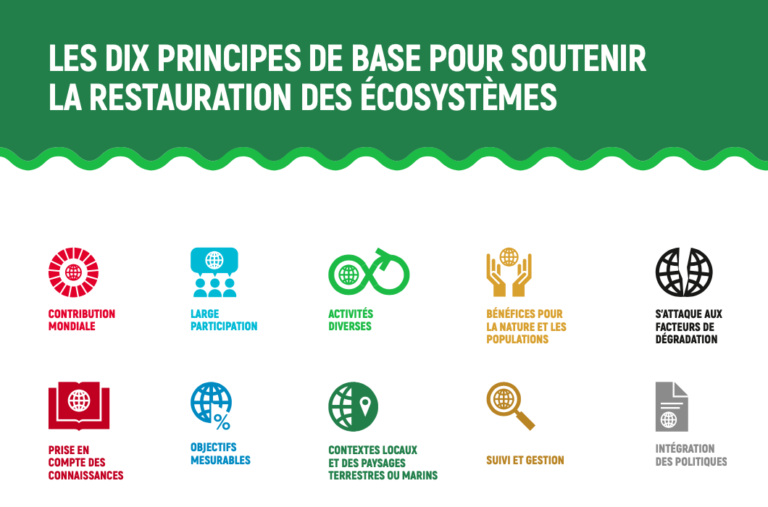 Restauration des écosystèmes : prévenir, arrêter et inverser la perte de la nature