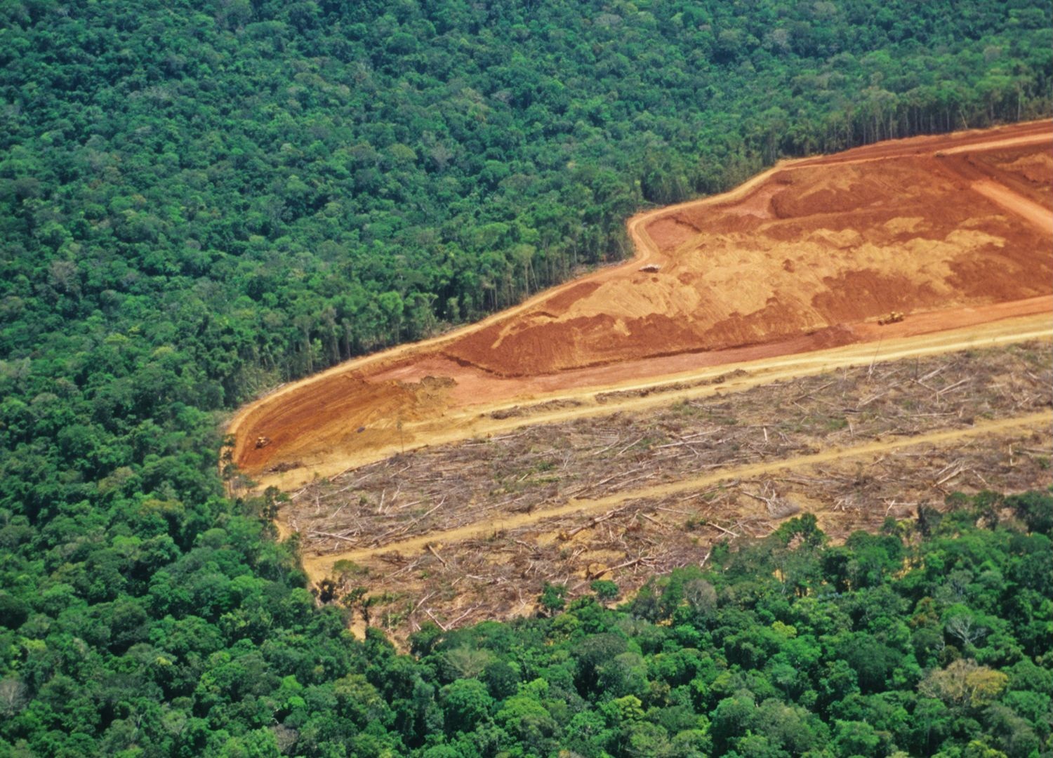Les villes peuvent-elles agir contre la déforestation tropicale ?