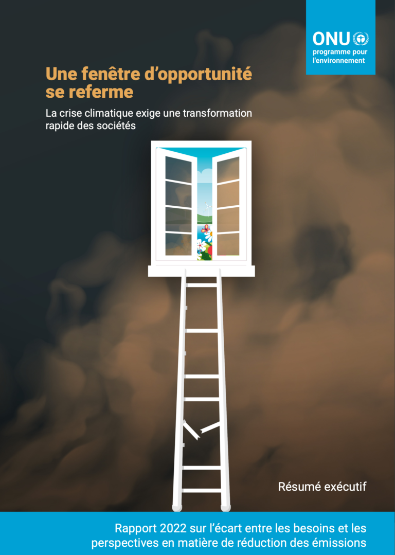 Afrique : la transition équitable passera par les hydrocarbures