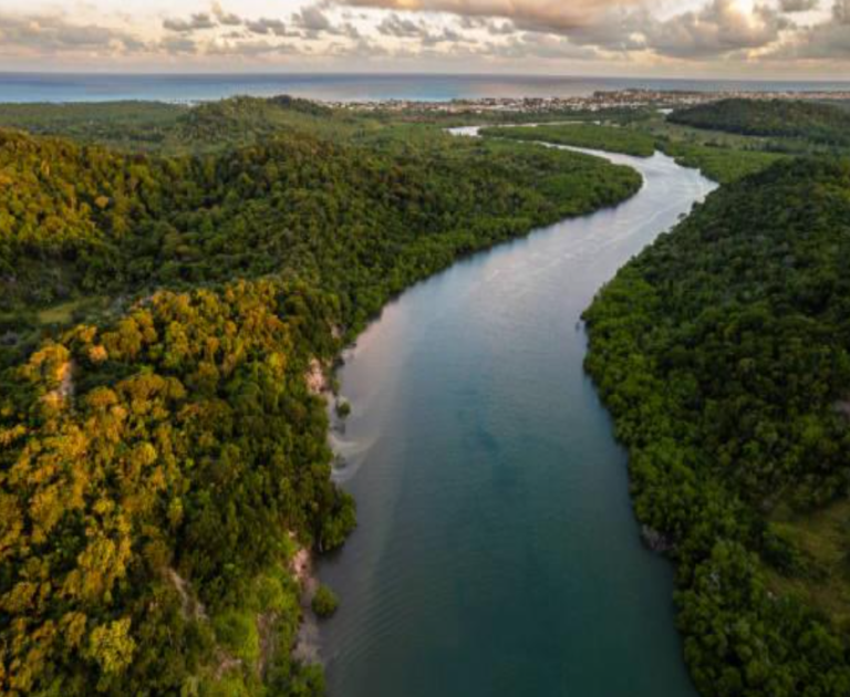 La perception du dérèglement climatique en Amérique latine. Une étude BVA pour la BEI et la Fondation Jean Jaurès