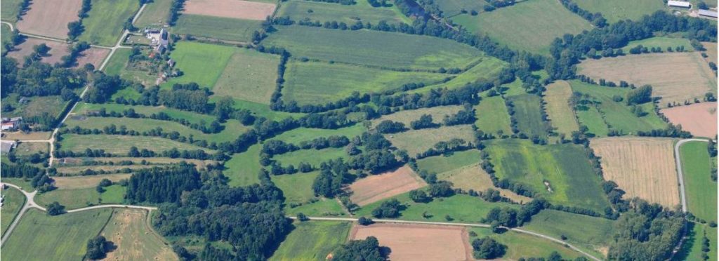 La structure du paysage, alliée de la lutte naturelle contre les ravageurs