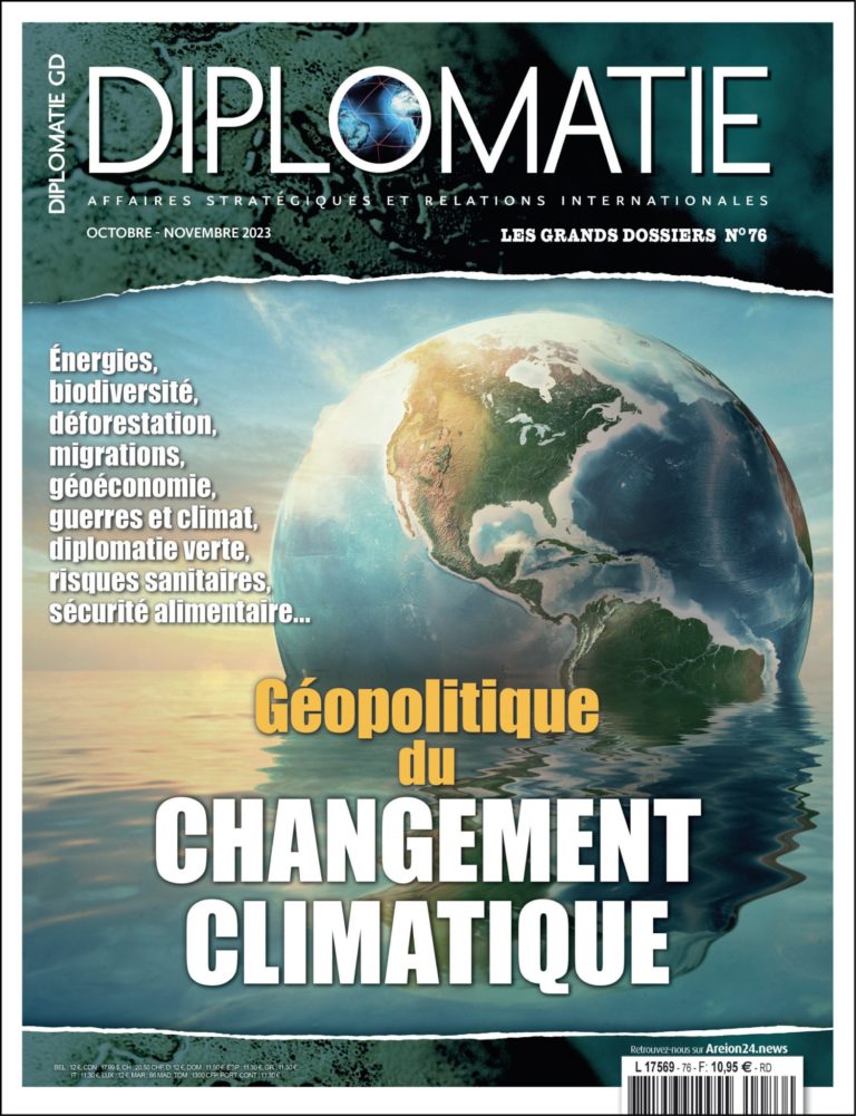 Quelles dynamiques de la déforestation mondiale ?