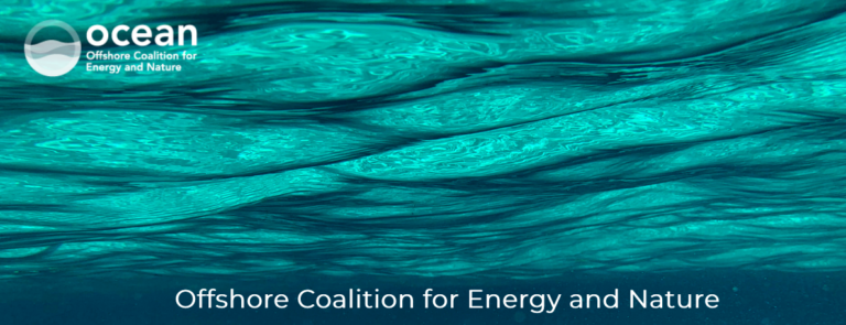Coalition offshore pour l&rsquo;énergie et la nature – Mer méditerranée