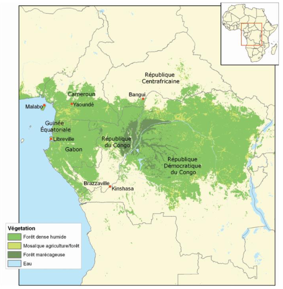 Géopolitique des forêts d’Afrique centrale