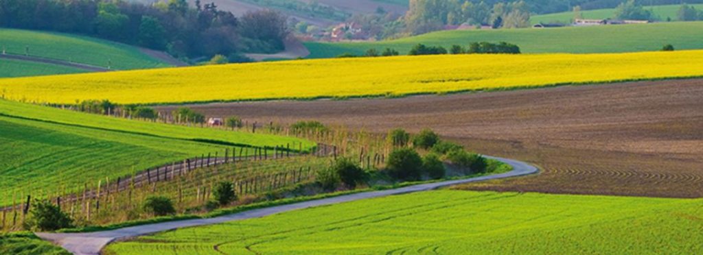 Agriculture compétitive et durable : les apports croissants du biocontrôle