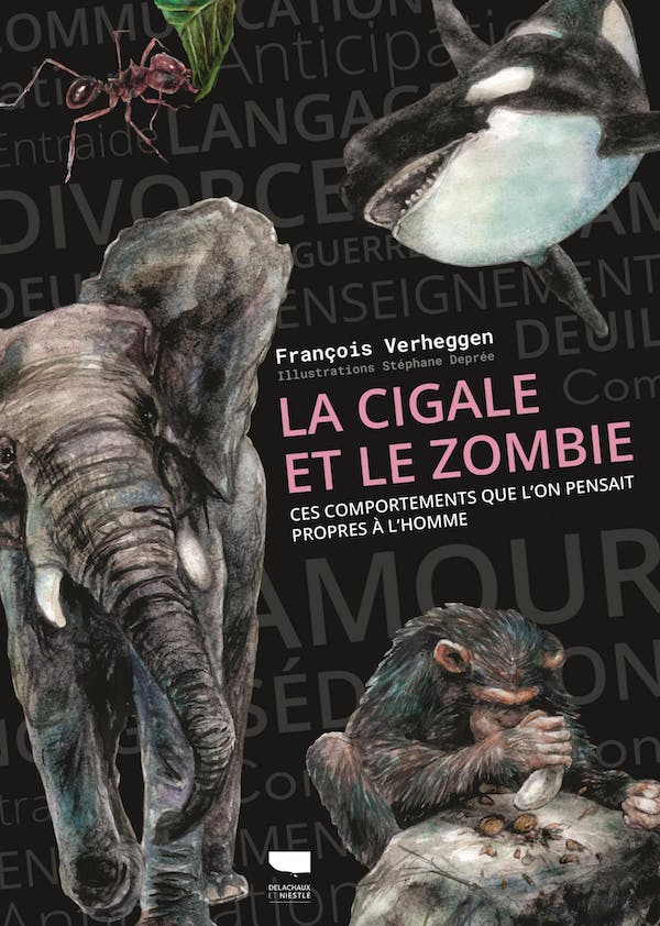 Couverture de « La Cigale et le Zombie : ces comportements que l’on pensait propres à l’Homme », de François Verheggen.