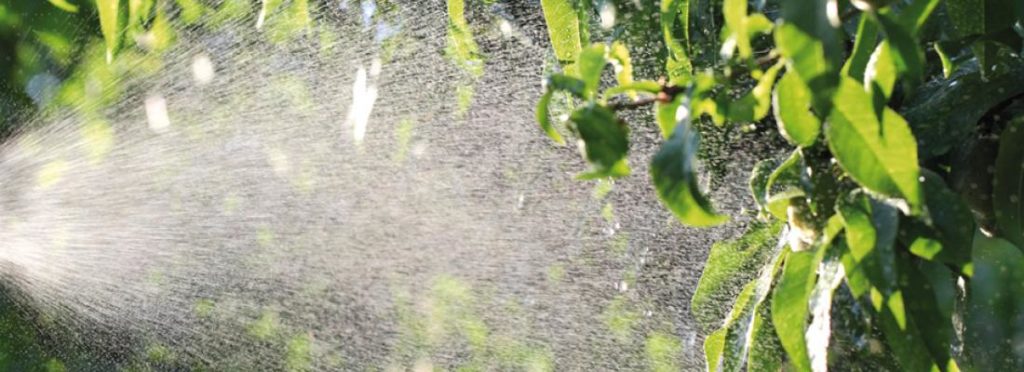 Prendre en compte les effets des pesticides dans les procédures réglementaires