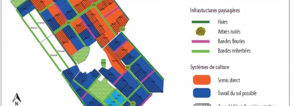 CA-SYS : plateforme collaborative d’expérimentations en agroécologie