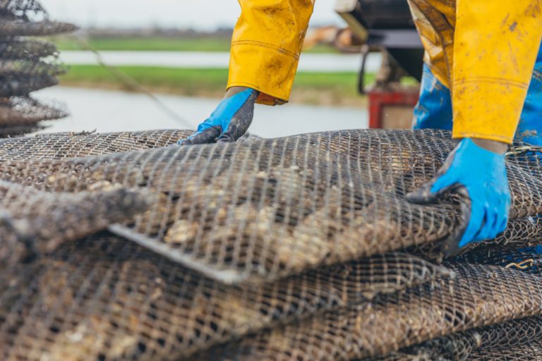 L&rsquo;aquaculture responsable : une alternative durable à la surpêche ?