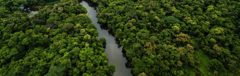 Planter un milliard d’arbres ! Un objectif qui soulève quatre problèmes majeurs.