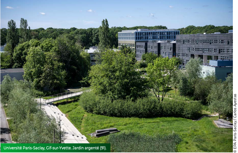 Université Paris-Saclay, Gif-sur-Yvette. Jardin argenté (91).