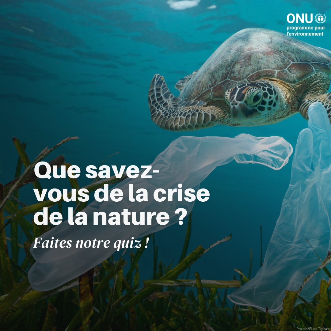 La survie de l'humanité dépend de la santé des écosystèmes. Mais la nature est en crise.