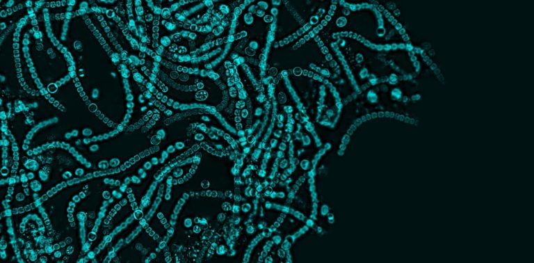 Quelle pollution invisible peut entrer dans notre organisme ?
