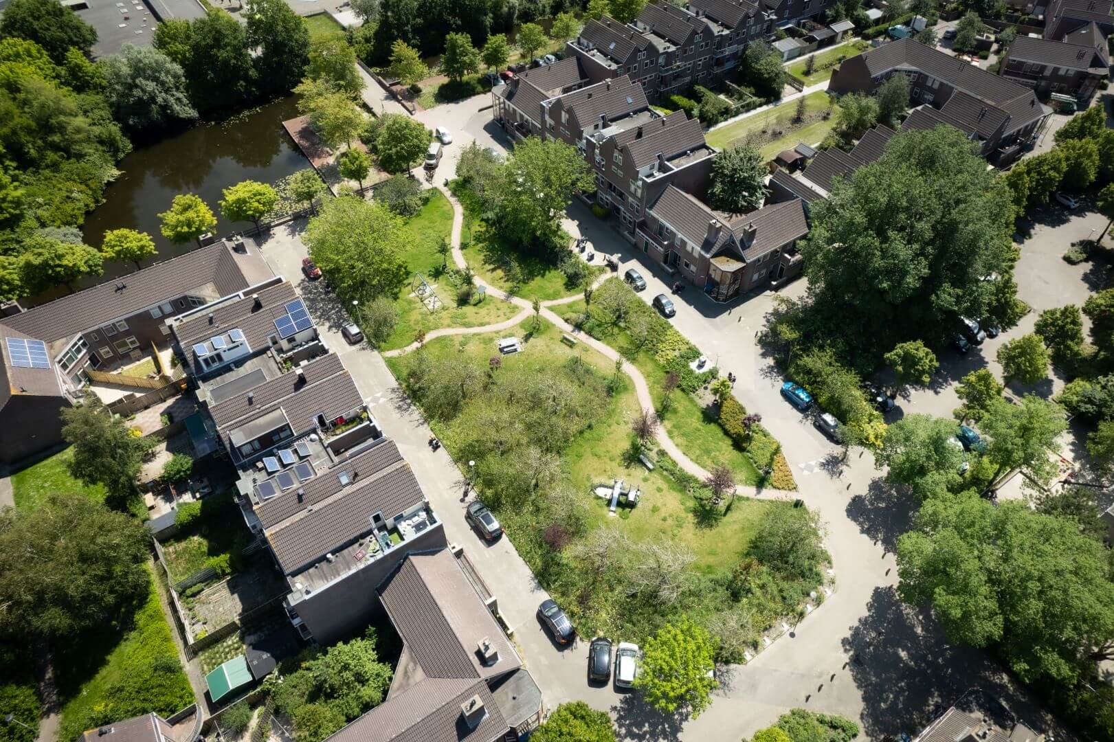 Alkmaar : végétaliser la ville pour la biodiversité