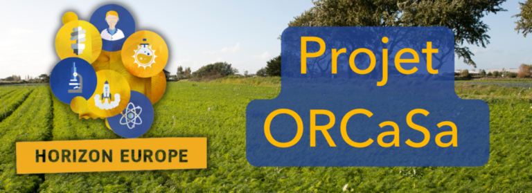 Lancement officiel du Consortium international de recherche sur le carbone du sol coordonné par l&rsquo;INRAE