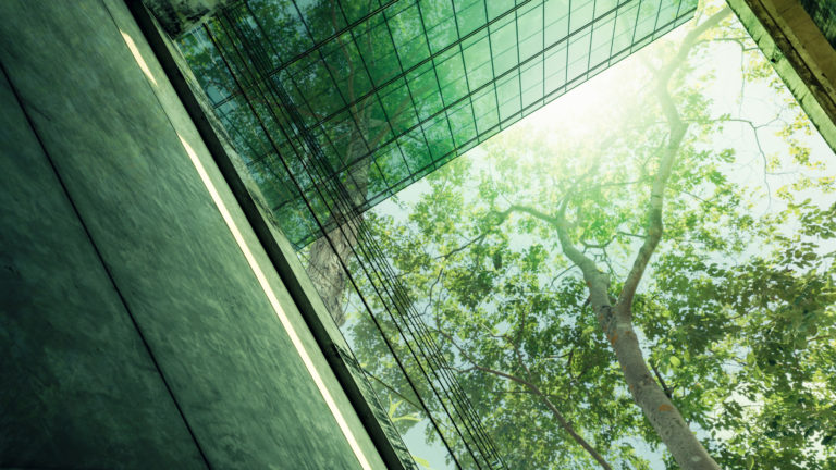 L’OMT enclenche l‘UN NetZero Facility’ pour financer l’action climatique dans le tourisme