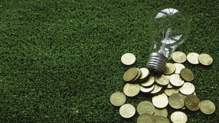 Investir dans un avenir durable : les bénéfices de l&rsquo;éco-épargne et des placements responsables