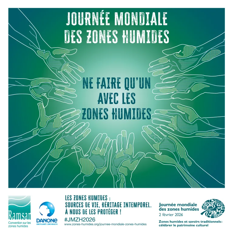 Journée mondiale des zones humides : un mois en France pour redécouvrir leur importance pour le bien-être humain