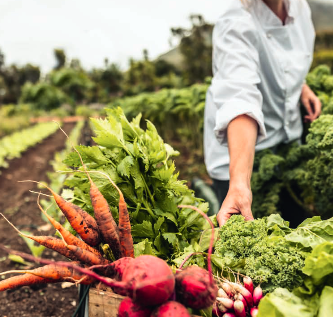 Pour une transition écologique, équitable et solidaire de notre agriculture et de notre alimentation