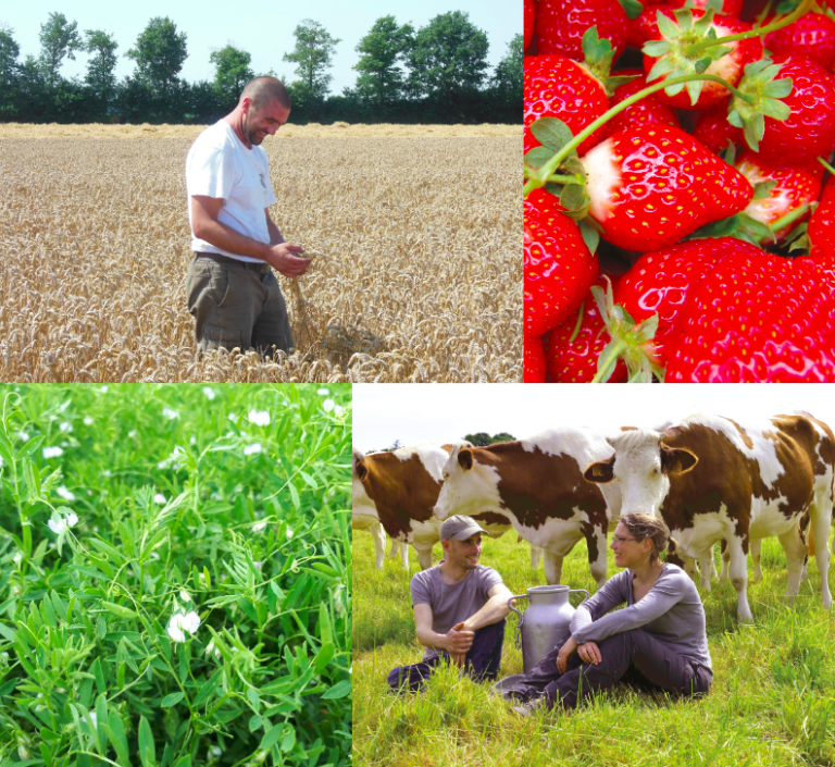Commerce équitable : gadget ou voie d’avenir pour l’agriculture française ?