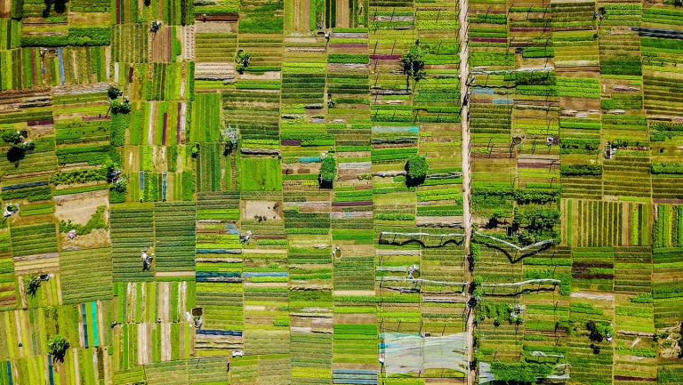 Altitude Agriculture, le 1er outil quantifiant l’impact du changement climatique sur les productions agricoles