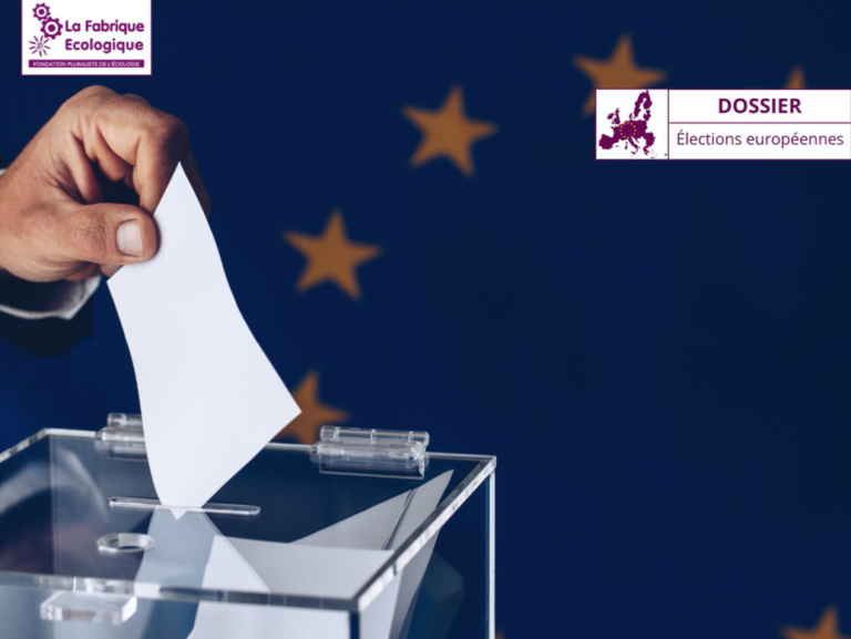 Quels sont les enjeux écologiques des élections européennes ?