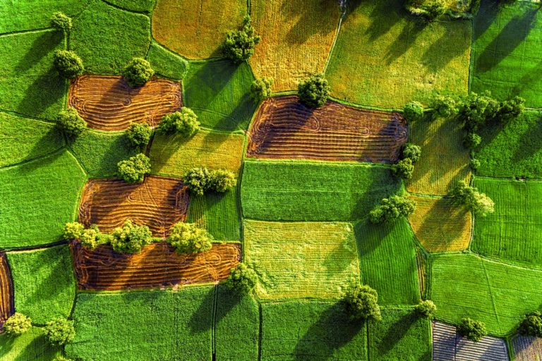 Fédérer agriculteurs et entreprises pour régénérer notre terre