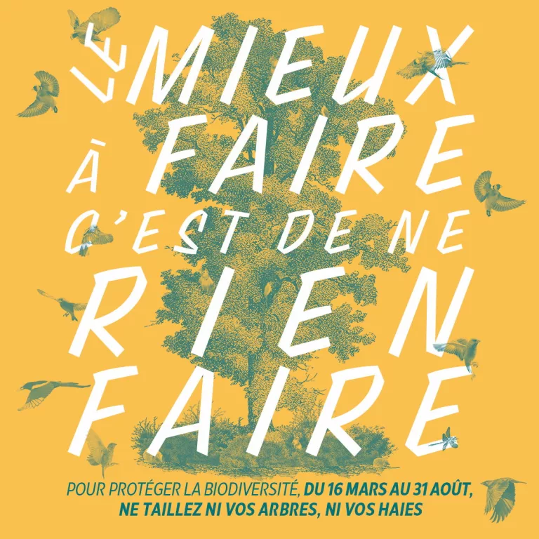 La nature se reproduit : le mieux à faire, c’est de ne rien faire !