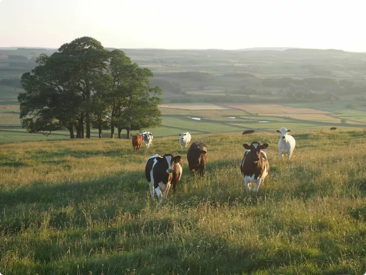 La transition agro-écologique sera collective ou ne sera pas !